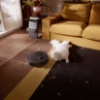 Bild von Roborock Qrevo 5AE 