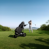 Bild von NAVEE Golf Trolley Birdie 3 