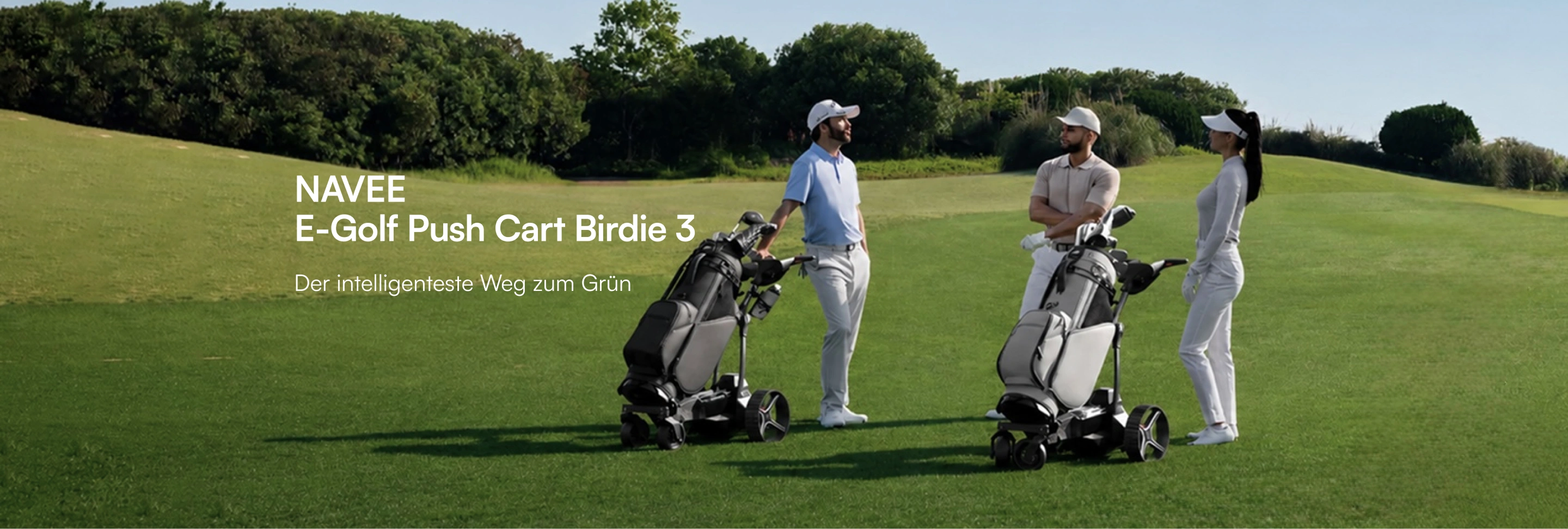 Birdie 3