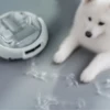Picture of DJI ROMO P2 (Water Tank Version)